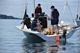 stealthy 2591c whyw21 mon  8491